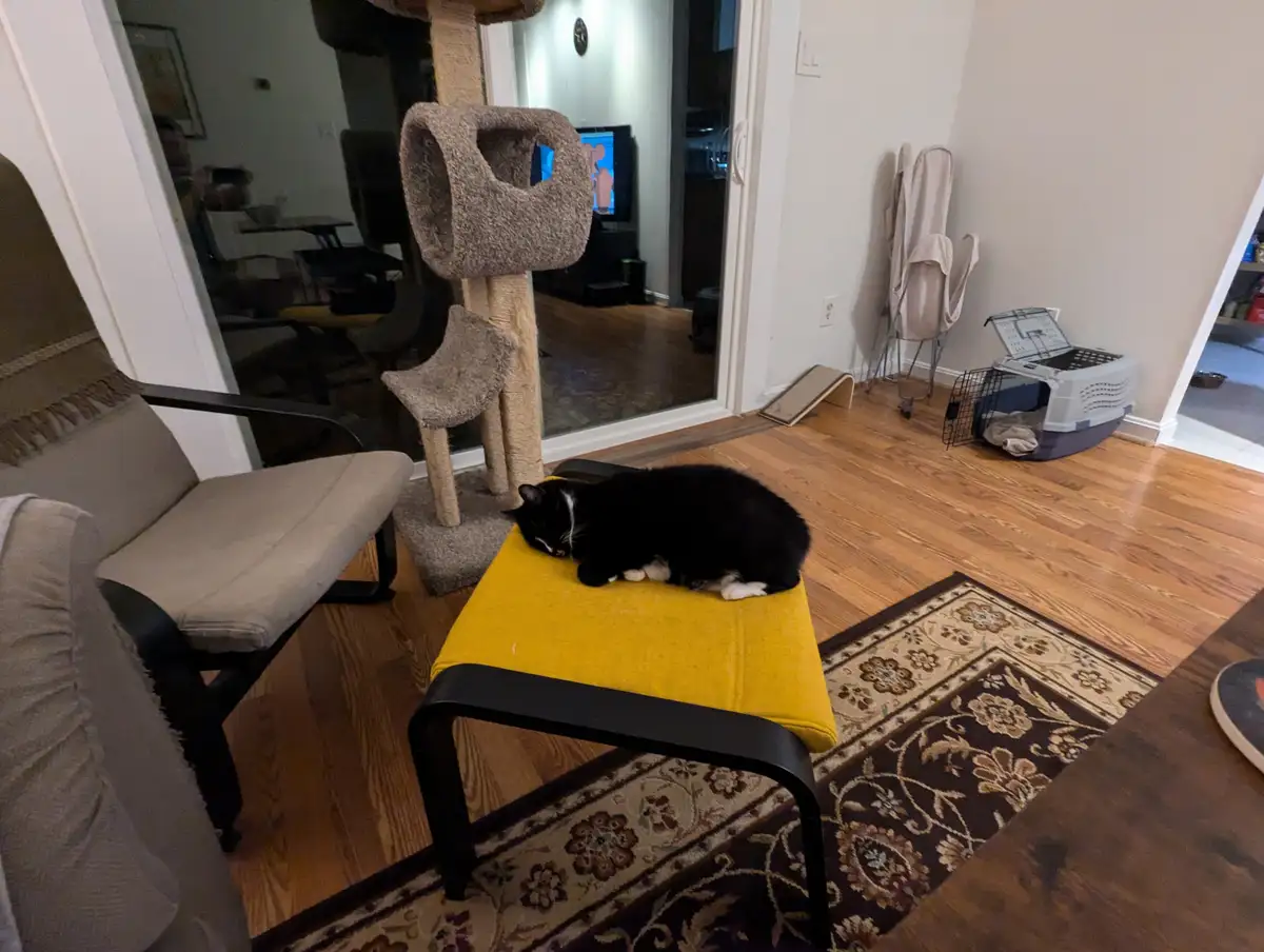 A black and white cat is curled up and sleeping on a bright yellow ottoman in a living room. The room has hardwood floors, a…
