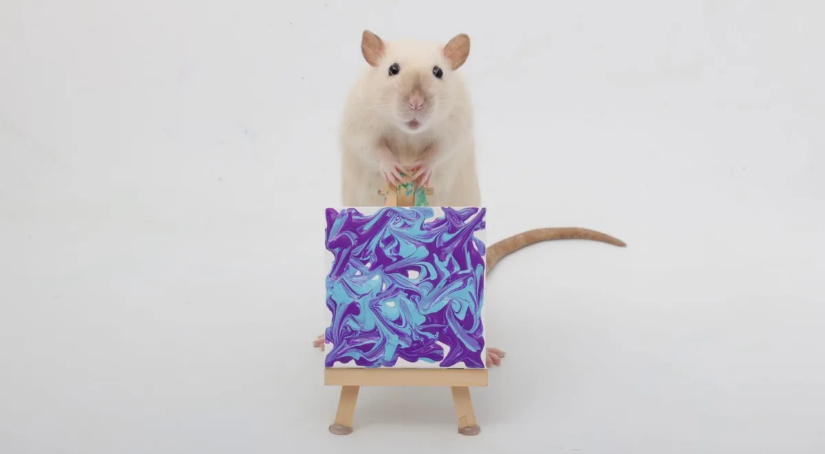 A light-colored rat stands upright behind a small wooden easel, holding a paintbrush and looking directly at the camera. In…