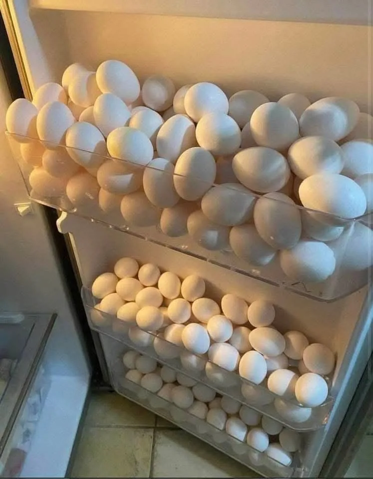 Everyday Adventures: Sneaking Eggs at Walmart