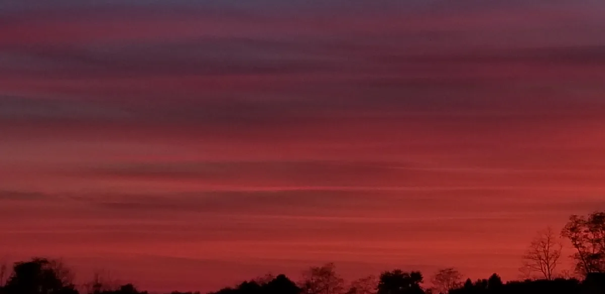 A photograph of a dramatic sunset with layered red, orange, and purple clouds, silhouetted trees at the bottom, overlaid…