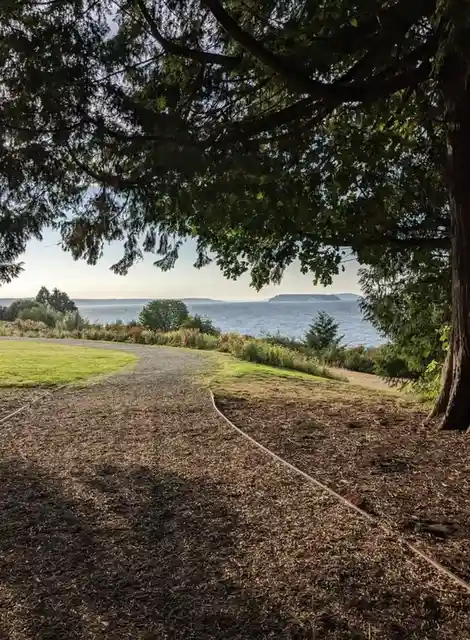 A scenic outdoor photo shows a winding gravel path leading toward a body of water, framed by the branches of a large tree. A…