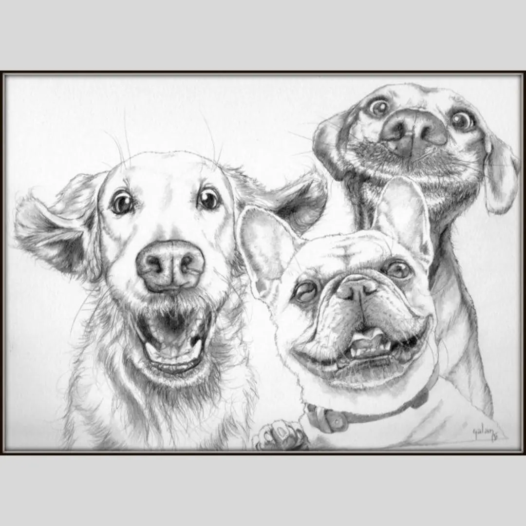 A detailed pencil sketch shows three dogs: a golden retriever on the left, a French bulldog in the center, and a Labrador…