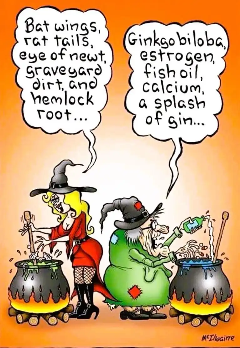 Two cartoon witches, one in red and one in green, each stir a bubbling cauldron over fire. The witch in red lists mystical…