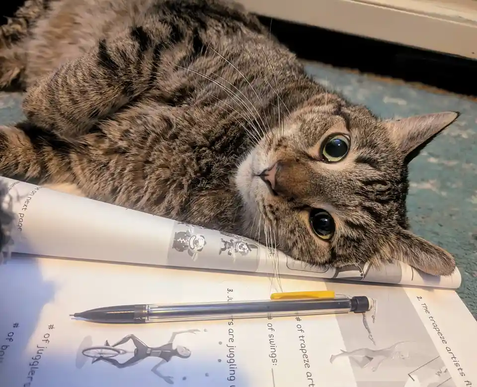 A tabby cat with green eyes lies on its side atop a rolled-up worksheet featuring circus-themed illustrations and questions…