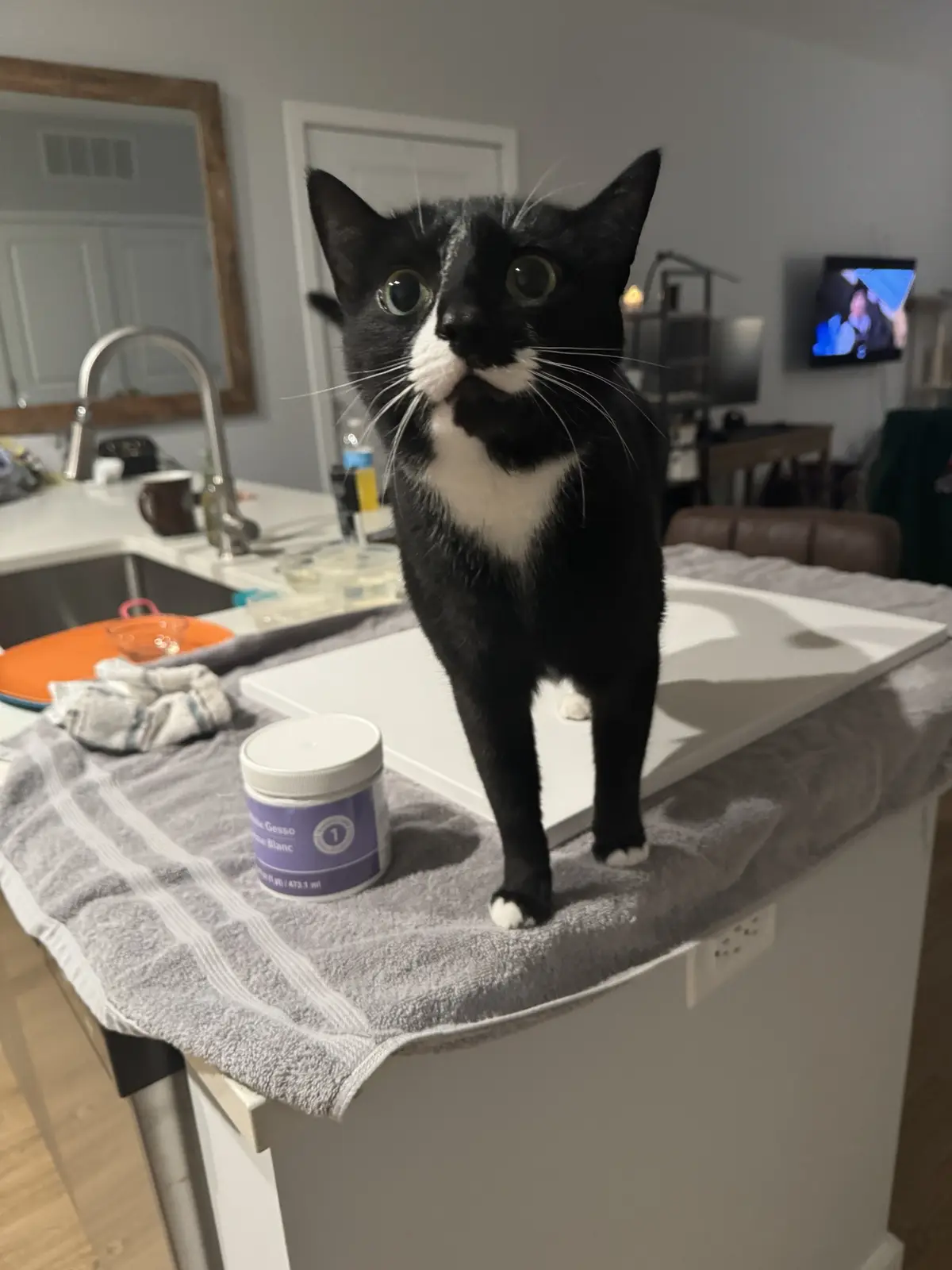 I have a feeling he really wants me to paint his portrait.