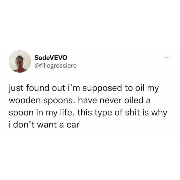 A screenshot of a tweet from user SadeVEVO (@fillegrossiere) showing a person's profile picture and their text. The text…
