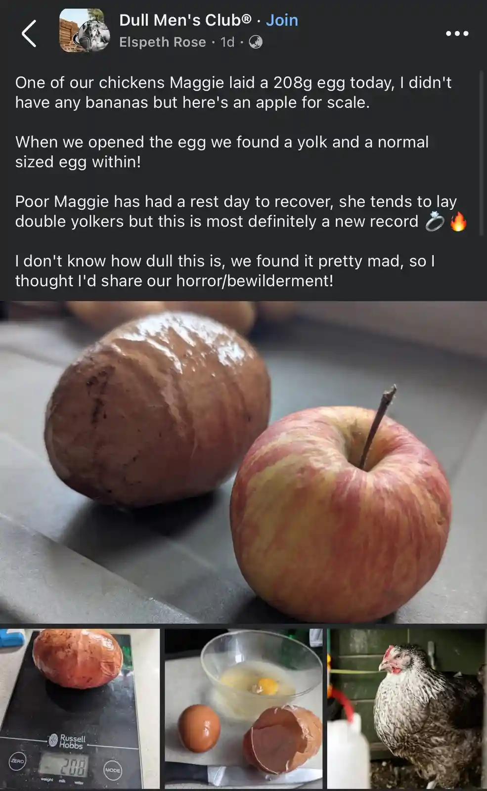 A social media post from 'Dull Men's Club' shows a giant 208g egg next to an apple for scale, with three smaller photos…