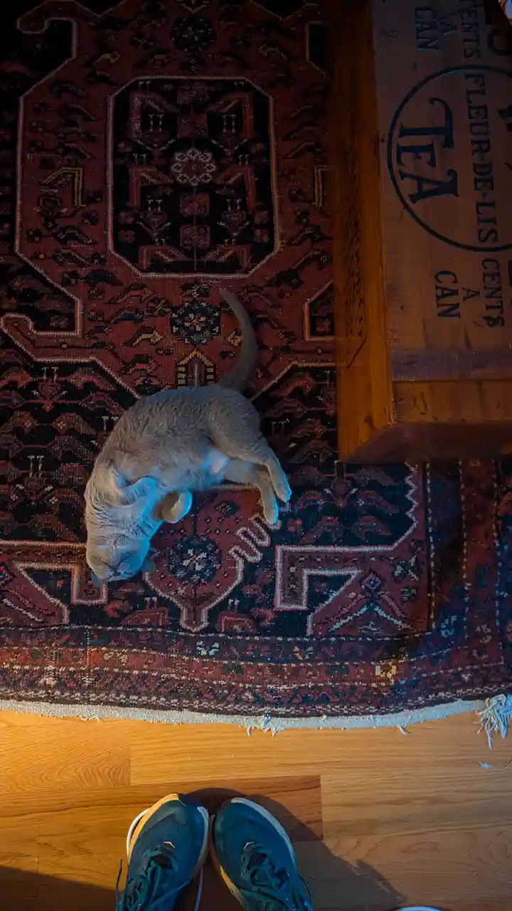 Please, Witness This Moment