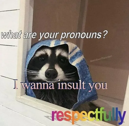 A raccoon wrapped in a blue and white striped towel peers out from a window frame. White text at the top reads 'what are…