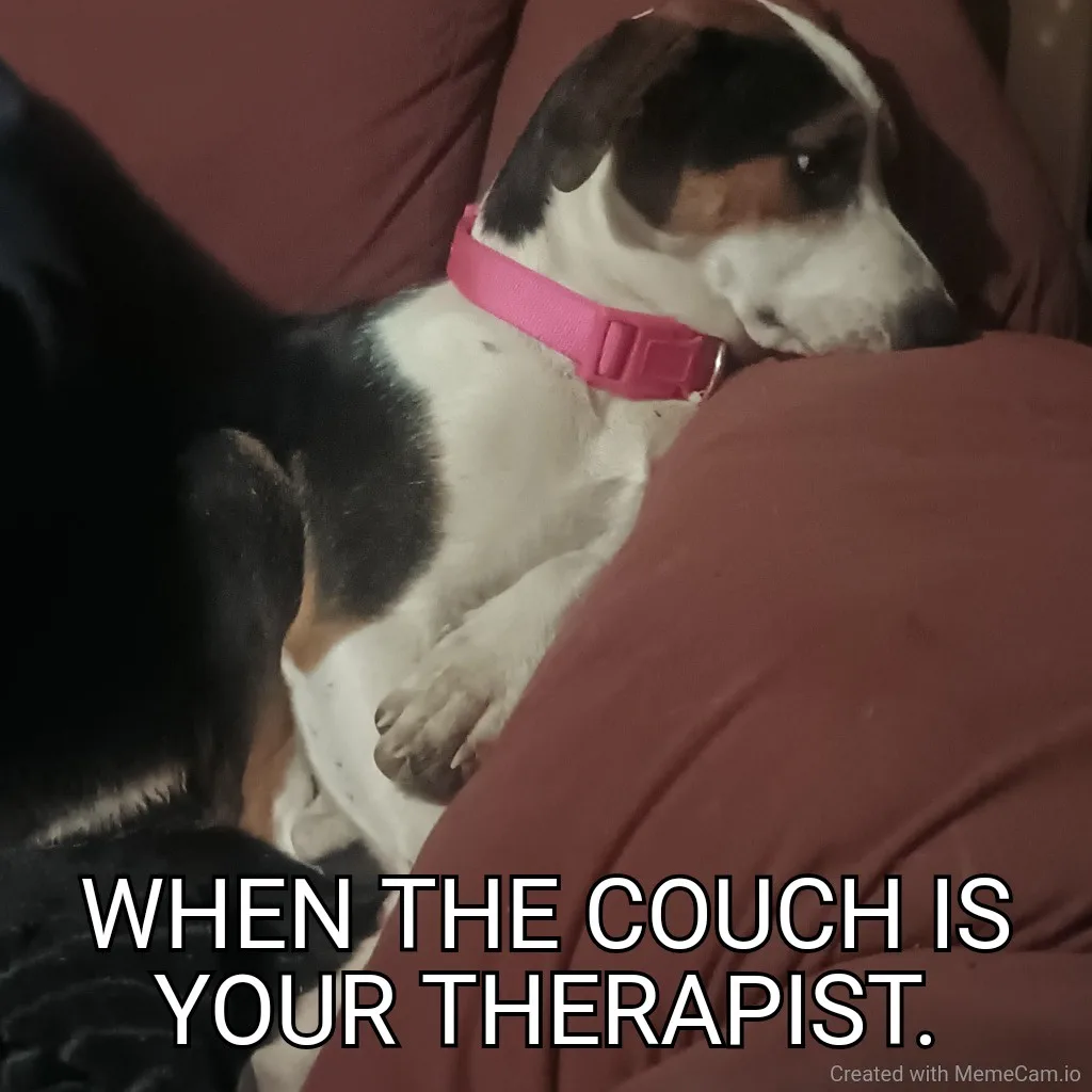 Adorable Puppy Moments That Will Make You Smile