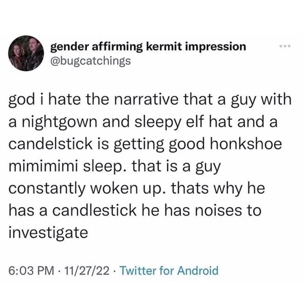 A screenshot of a tweet from user @bugcatchings, whose profile is titled 'gender affirming kermit impression'. The tweet…