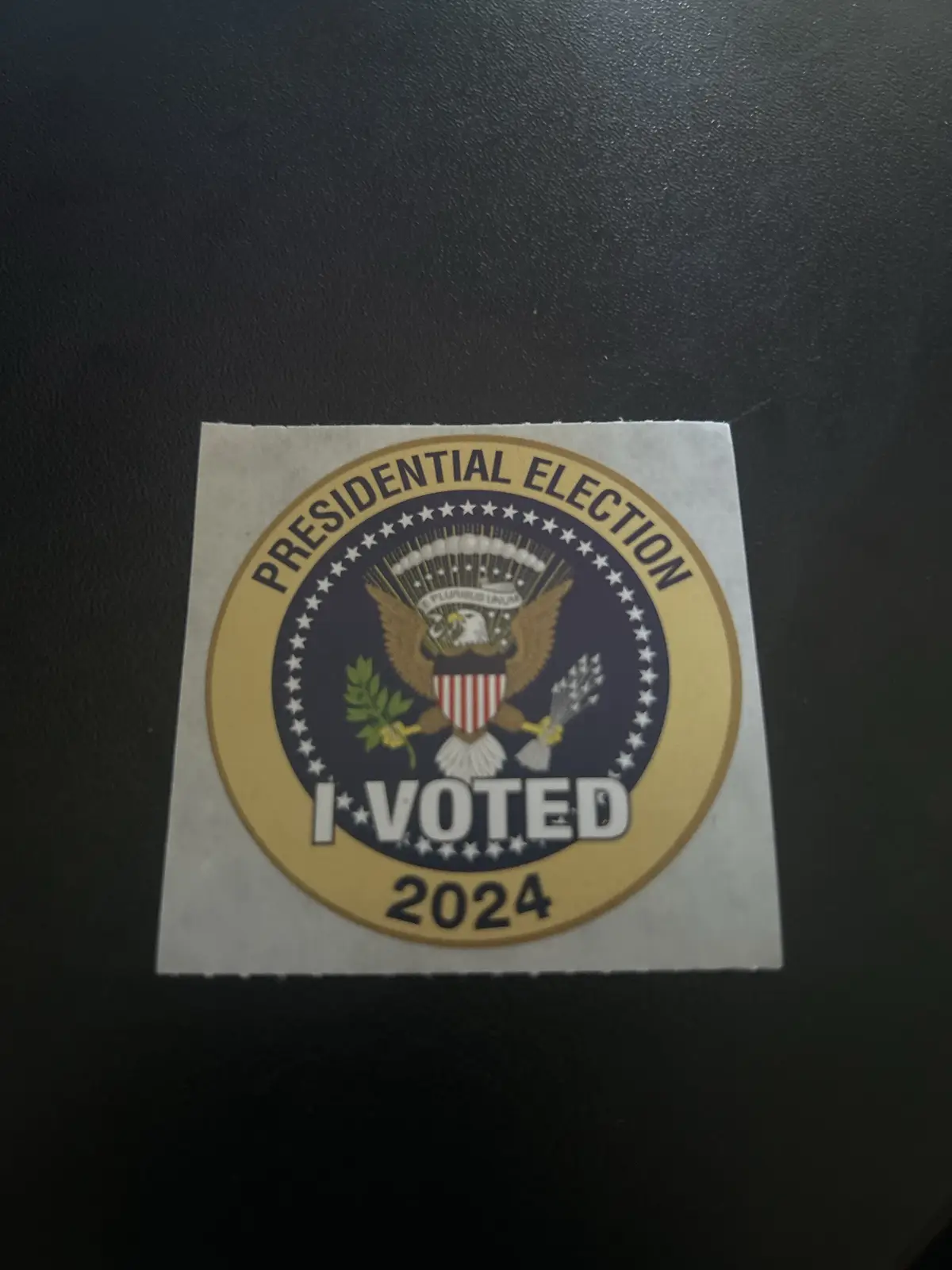 I Made My Voice Count: I Voted!