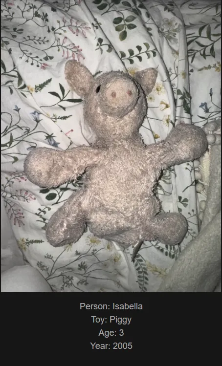 A worn, grey plush pig toy lies on a floral-patterned blanket. Text overlaid at the bottom identifies it as 'Person…