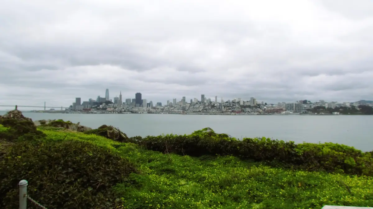 A wide shot of the San Francisco skyline across the bay under an overcast sky, with green, ivy-covered hills and rocks in…