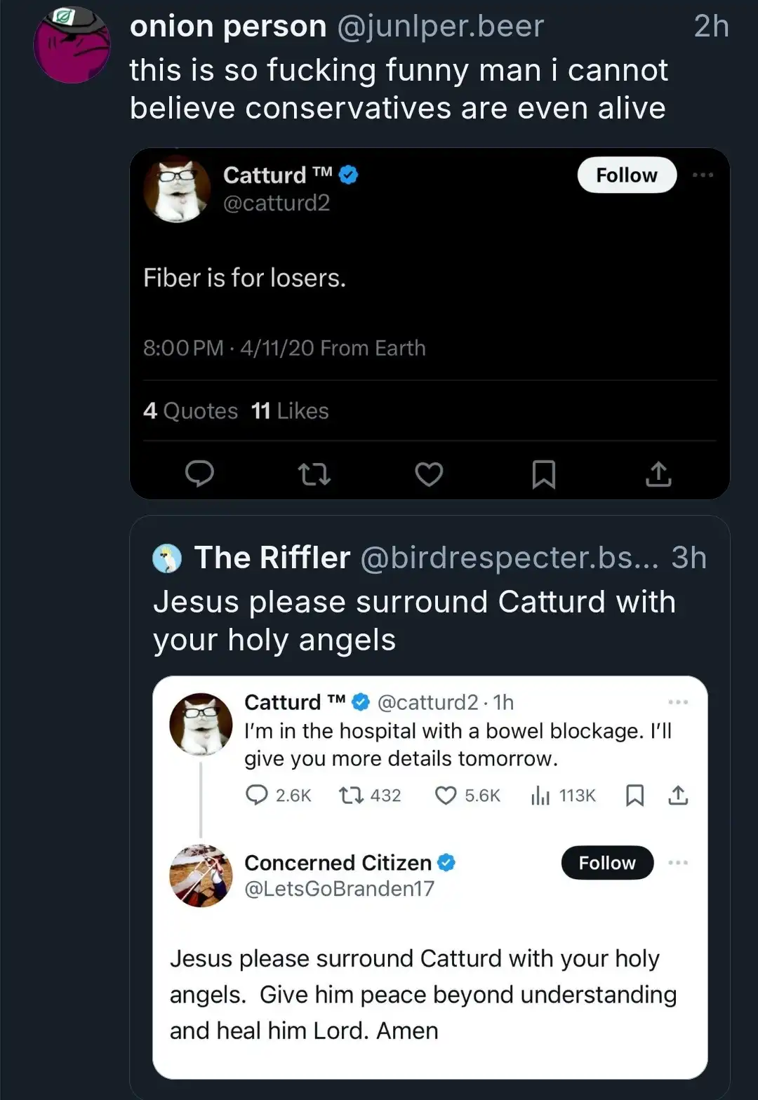 A screenshot of a Twitter thread shows a user named 'Catturd' initially posting 'Fiber is for losers.' Another user, 'The…