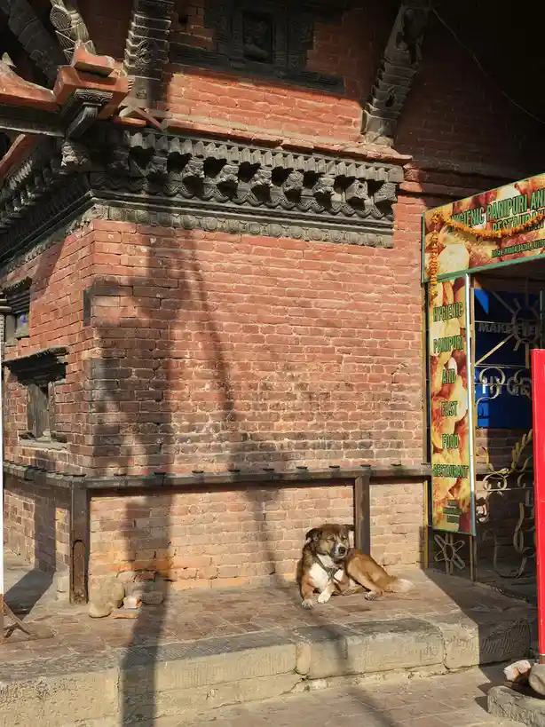 A brown and white dog lies sleeping on stone steps beside a red brick building with ornate dark wood carvings. To the right…