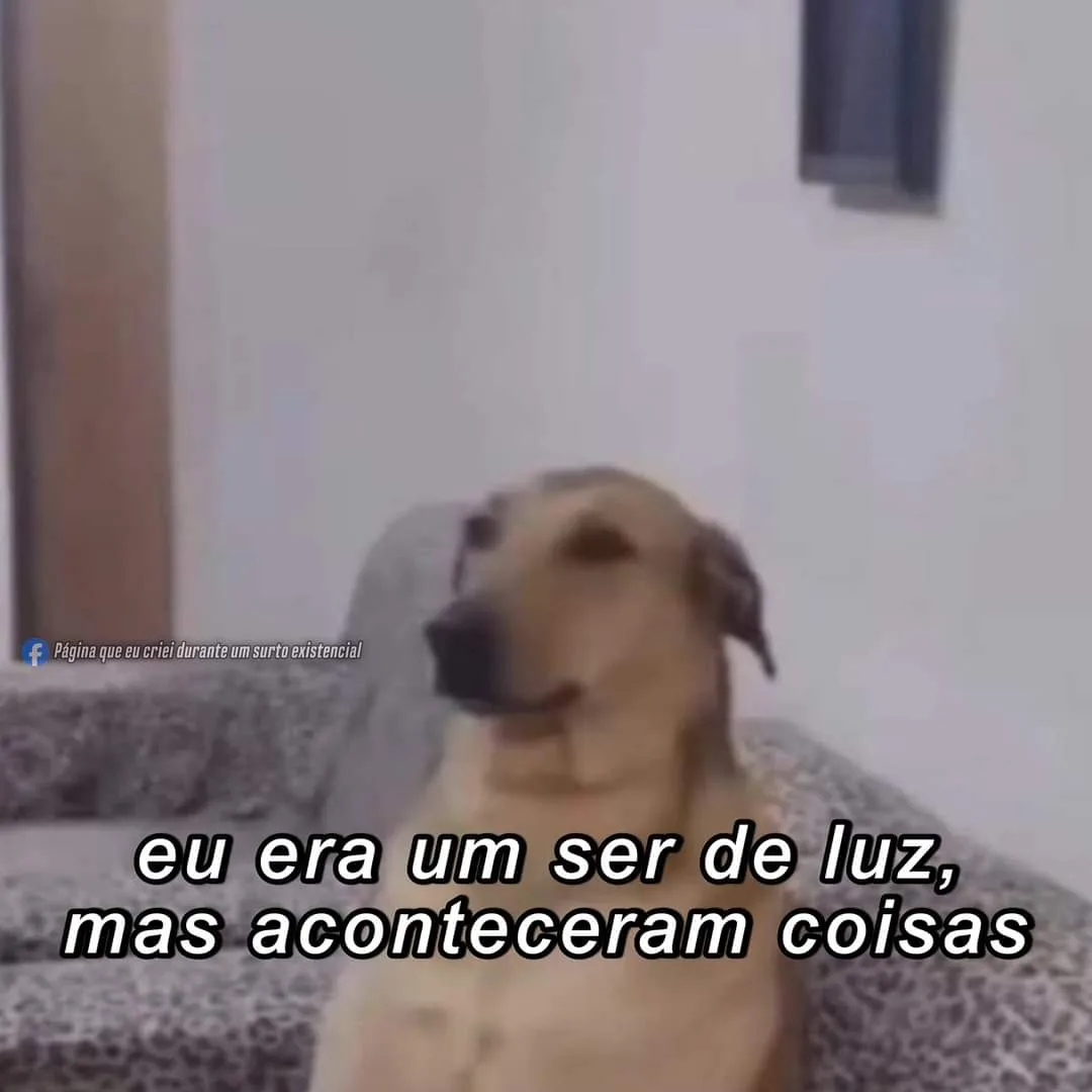 A blurry image of a light brown dog sitting on a patterned couch, looking slightly to the side with a neutral expression…