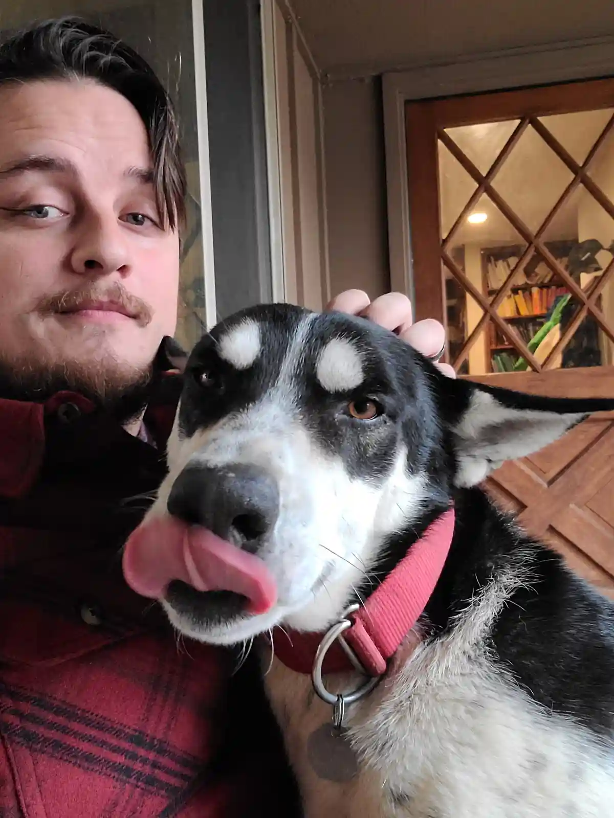 A man with a mustache and red plaid shirt takes a selfie with a black-and-white dog wearing a pink collar. The dog has its…