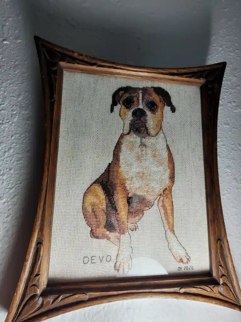 A framed needlepoint portrait of a brown and white boxer dog sitting upright, with the name 'DEVO' stitched below it and 'DH…