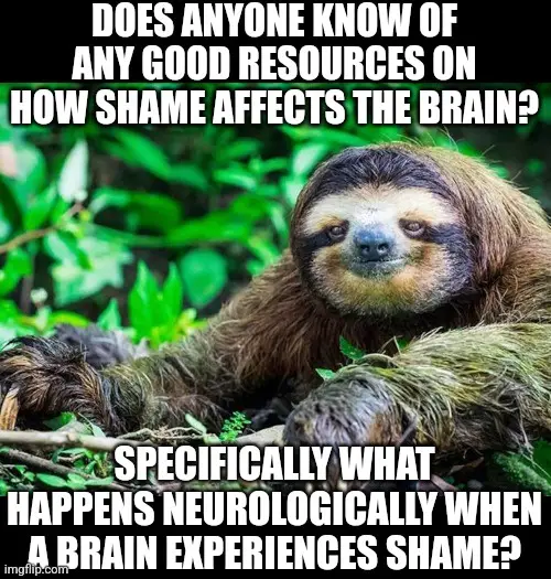 A close-up photo of a sloth resting in green foliage, looking directly at the camera with a calm, slightly smug expression…