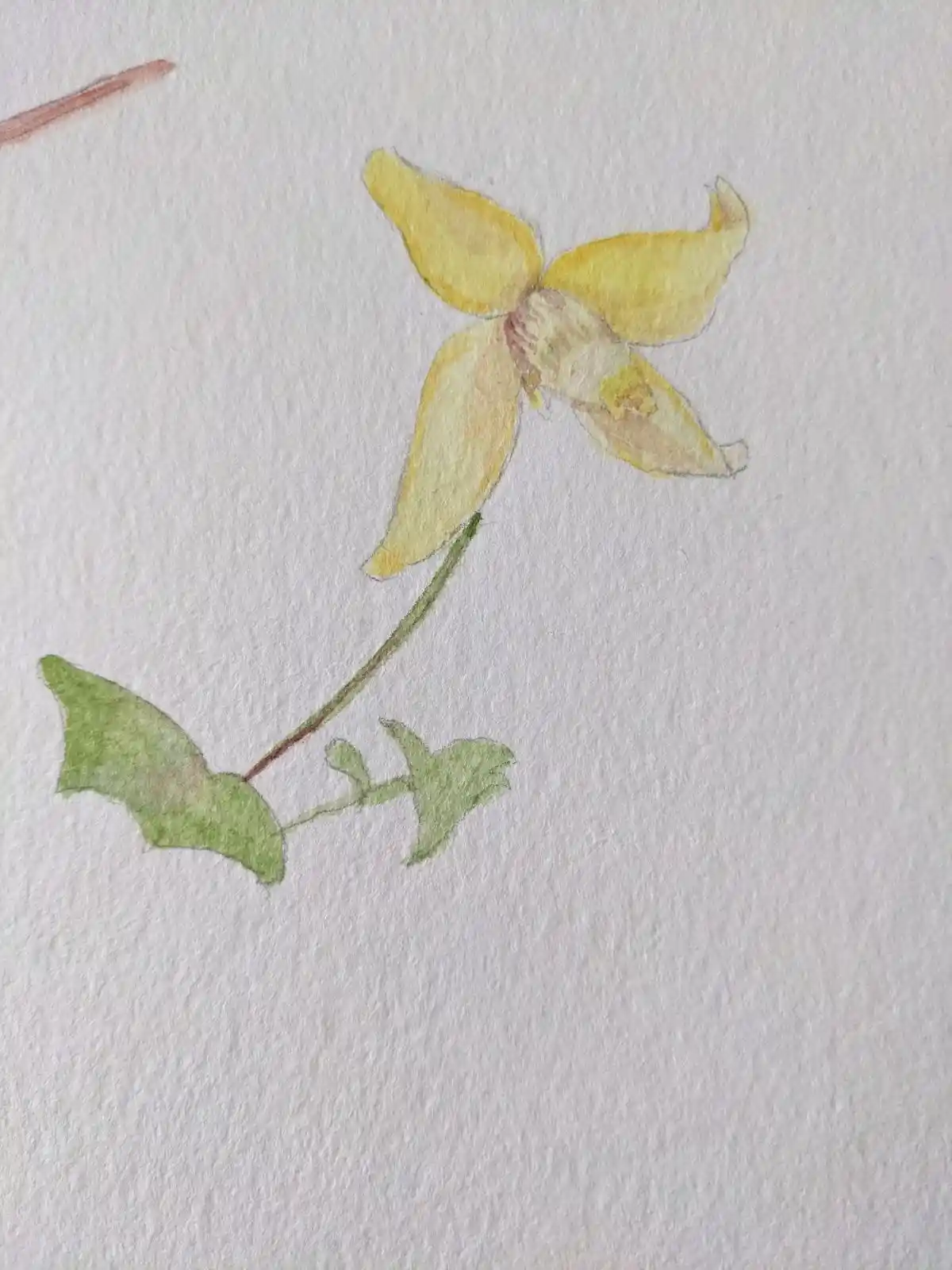 A watercolor painting of a yellow flower with green leaves on a textured white paper background, with no overlaid text or…