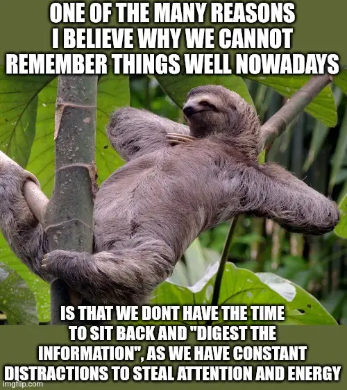 A sloth is hanging lazily from a tree branch in a lush green forest, appearing very relaxed and slow-moving. Overlaid text…