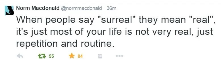 A screenshot of a tweet from Norm Macdonald's Twitter account, showing his profile picture, handle, and timestamp. The tweet…