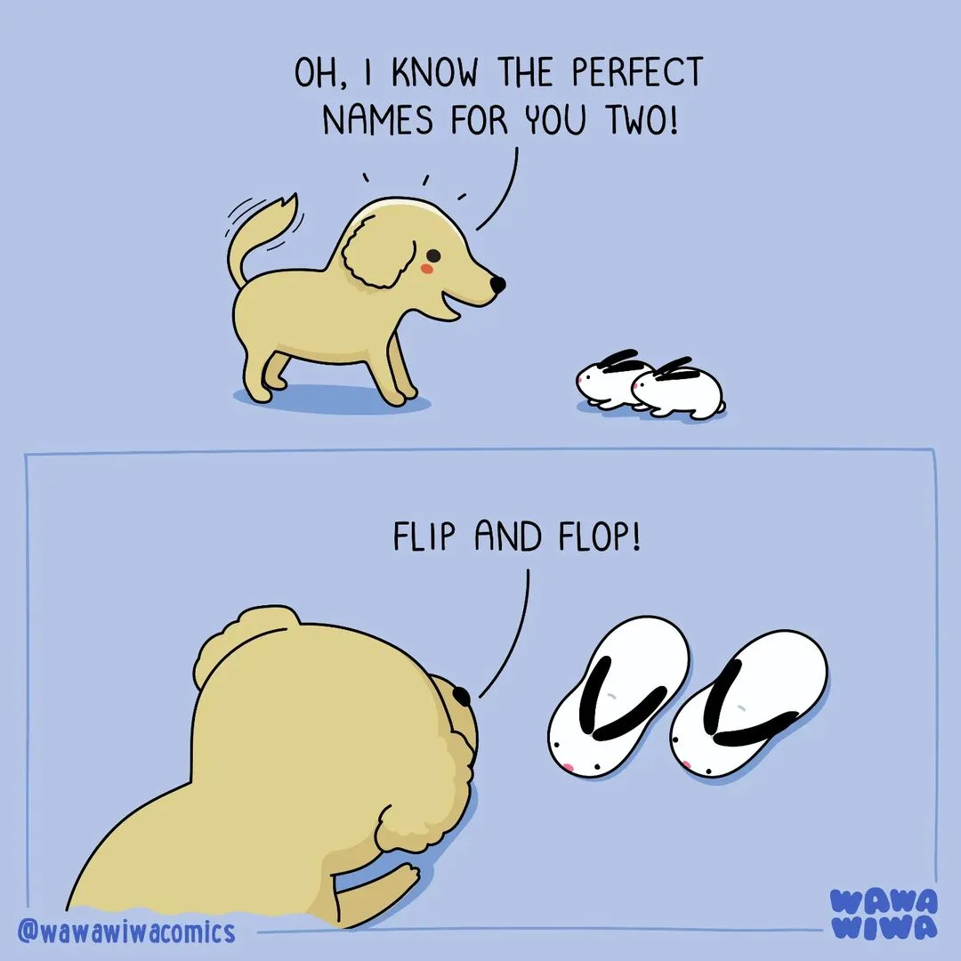 Let's clarify: it's the left slipper and the right slipper!