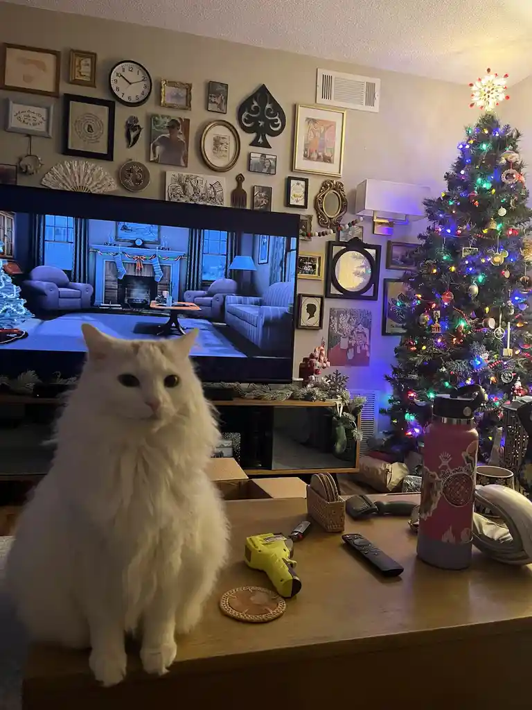 A fluffy white cat sits on a wooden table in a cozy, decorated living room with a lit Christmas tree to the right and a TV…