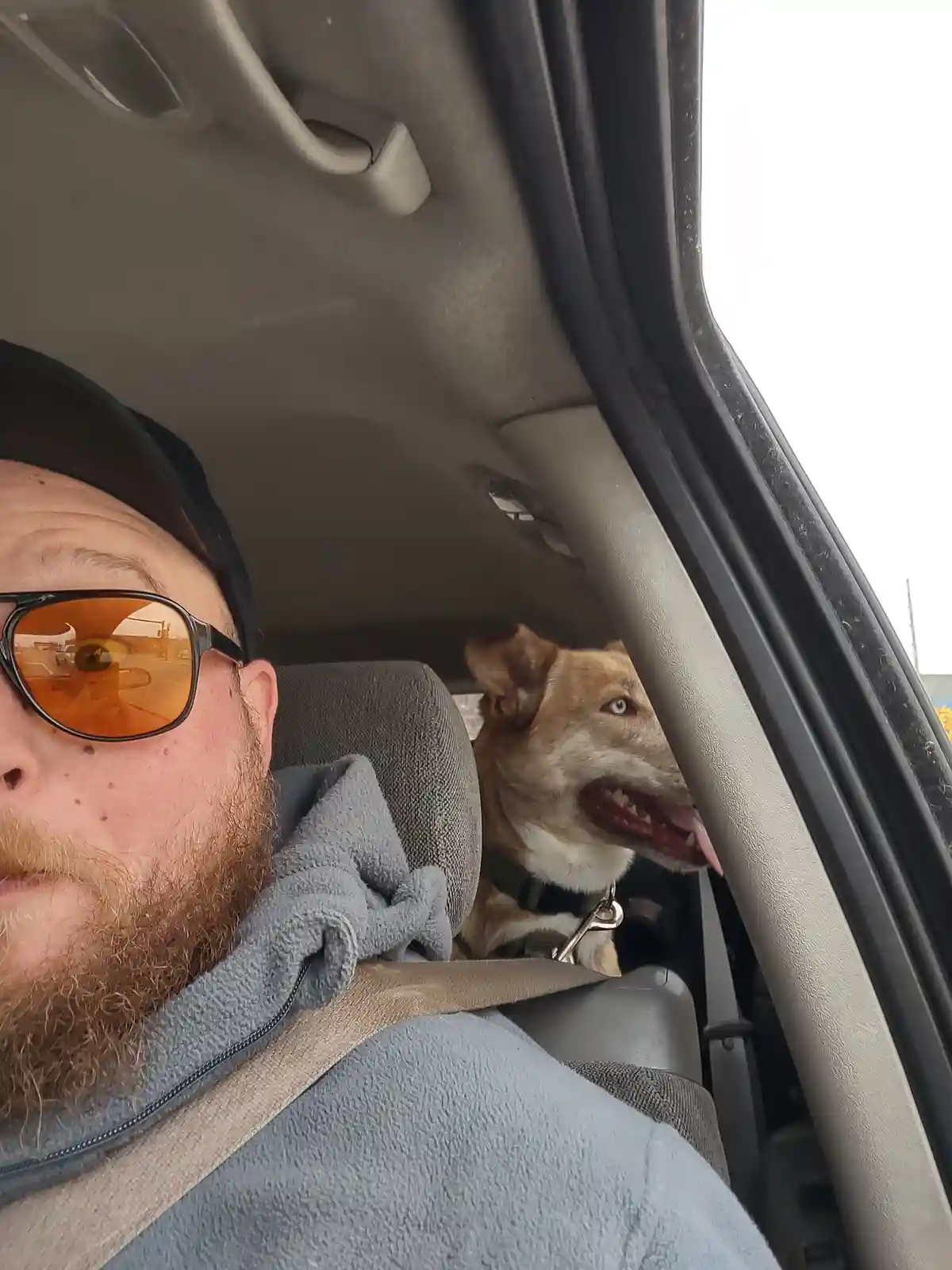 A Classic Journey: Driving Miss Daisy