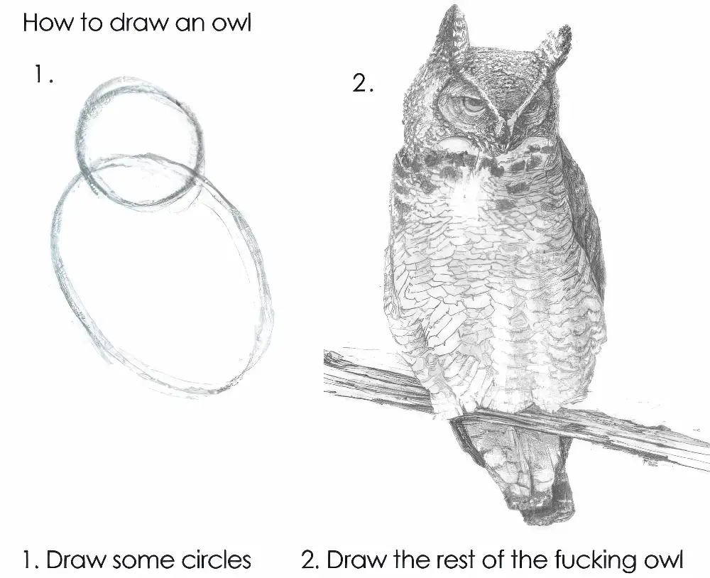 The image shows a two-step 'how to draw an owl' tutorial. Step 1 displays two overlapping circles labeled '1. Draw some…