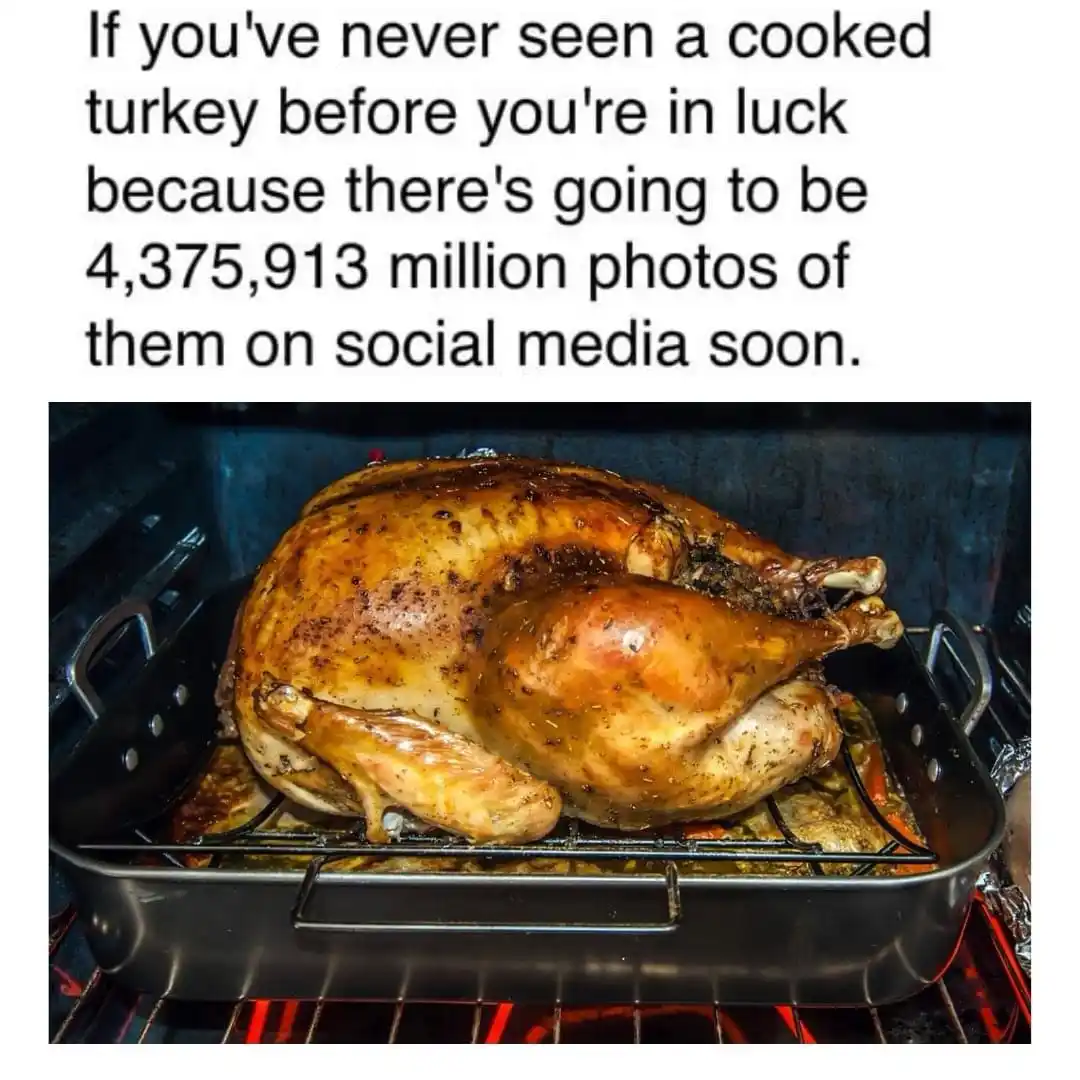 A roasted turkey sits in a roasting pan inside an oven, its skin golden-brown and seasoned. Overlaid text reads: 'If you've…