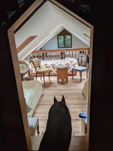 A black dog is seen from behind, standing in a doorway and looking into a cozy, furnished attic bedroom with wooden floors…