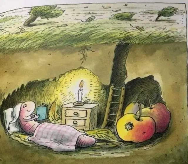 Wishing You a Cozy Home Always