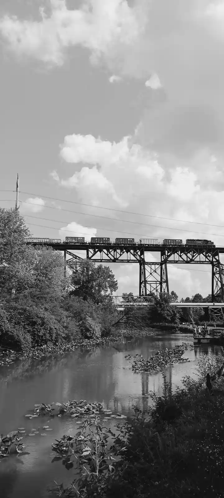 Train Journey Over the Scenic Ohio & Erie Canal