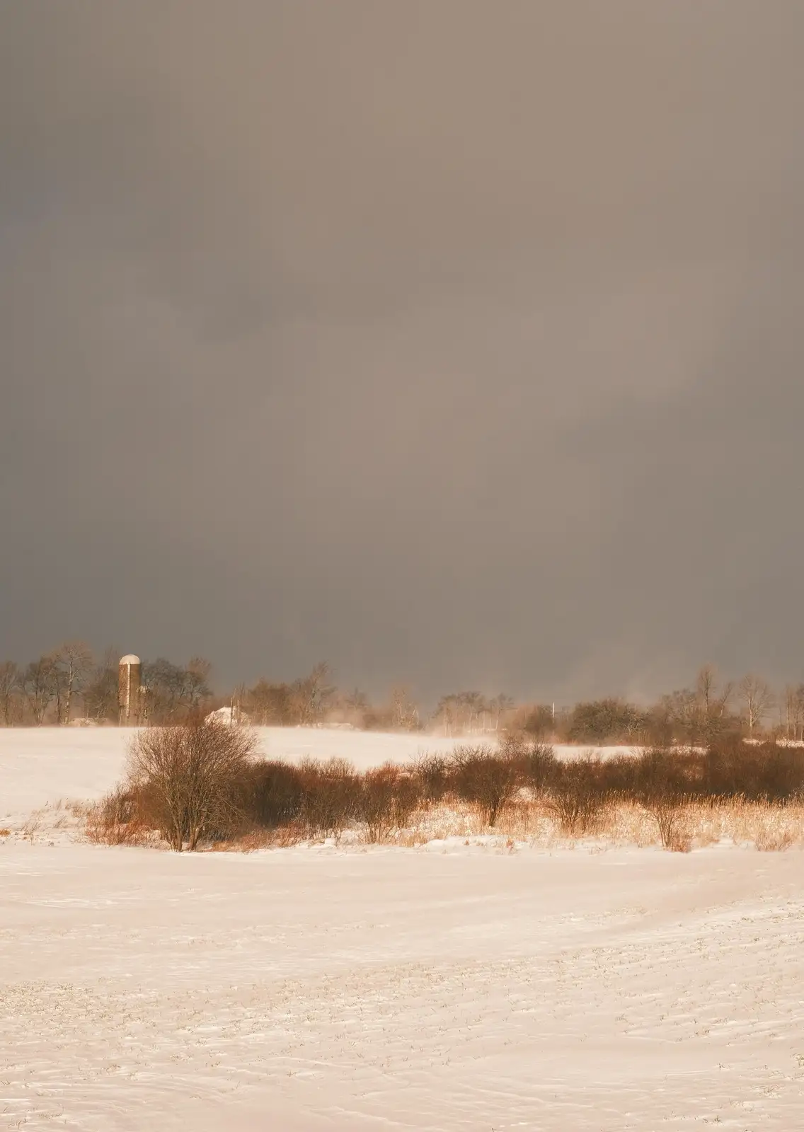A desolate winter landscape with snow-covered fields, bare trees, and a distant silo under a gray, overcast sky. The…