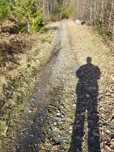 A photo shows a person's shadow cast on a gravel forest trail, surrounded by dry grass and trees, with the overlaid text…