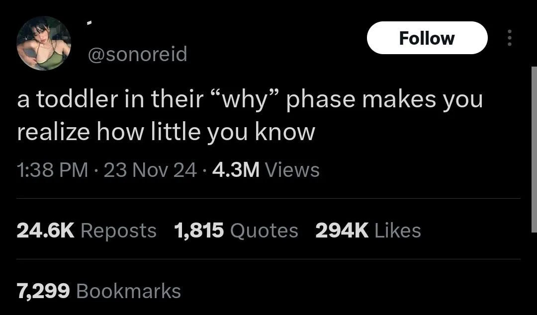 The image shows a screenshot of a social media post by user @sonoreid, displaying the text 'a toddler in their "why" phase…