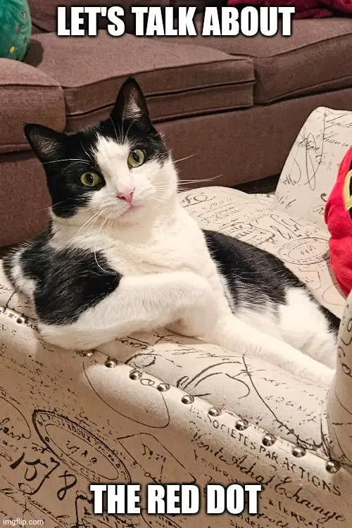 A black and white cat lounges on a patterned couch with a serious, slightly smug expression, looking directly at the camera…