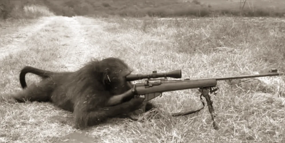 The Legendary Warrior of the Monkey Civilization: A Tale of Valor