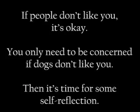 A black background with white text in a simple sans-serif font. The text is arranged in three centered paragraphs. The first…