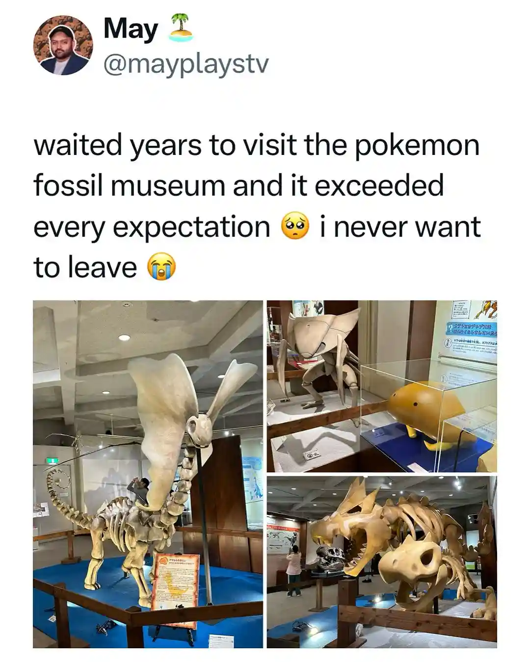A social media post by 'May' shows three photos of museum exhibits featuring large, skeletal models of Pokémon creatures…