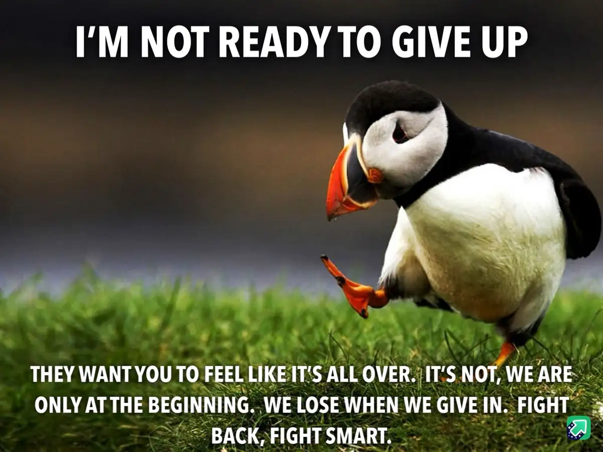 A puffin stands on green grass with a determined expression, looking down and slightly to the side. The image has bold white…