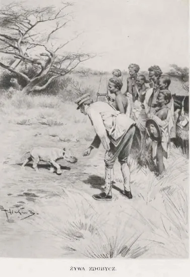 A vintage black-and-white illustration depicts a man in colonial-era attire bending down to interact with a small…