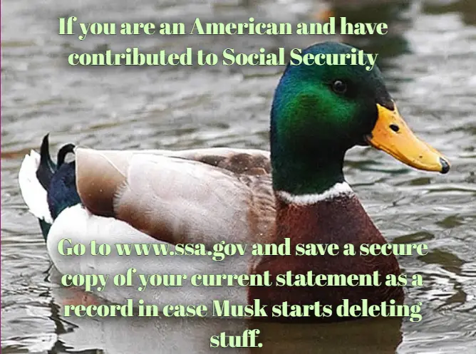 A mallard duck with a green head and yellow beak floats on water, overlaid with green text that reads: 'If you are an…