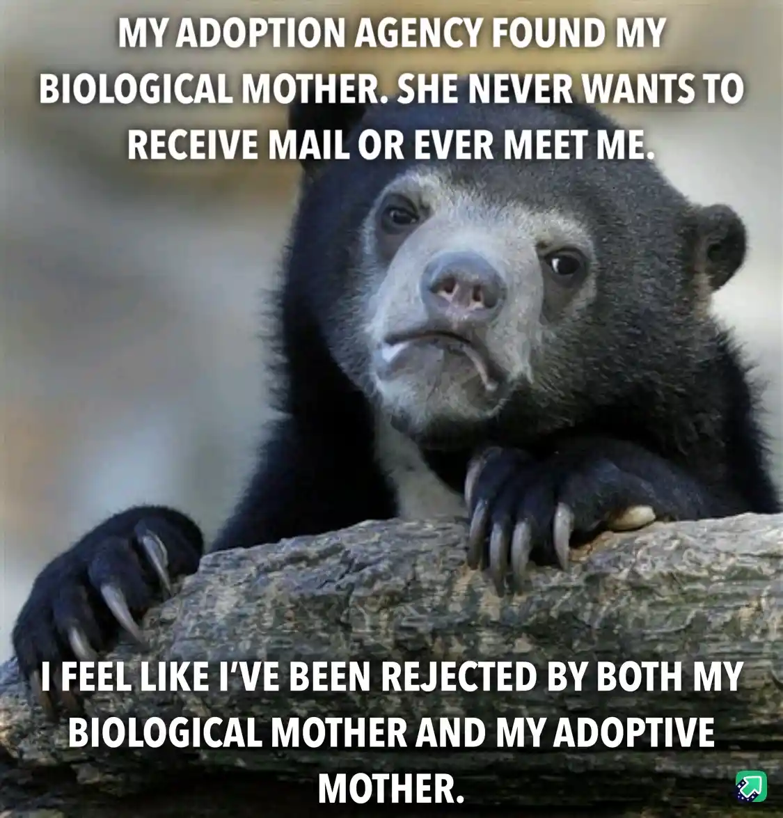 The Heartwarming Conclusion of My Adoption Journey