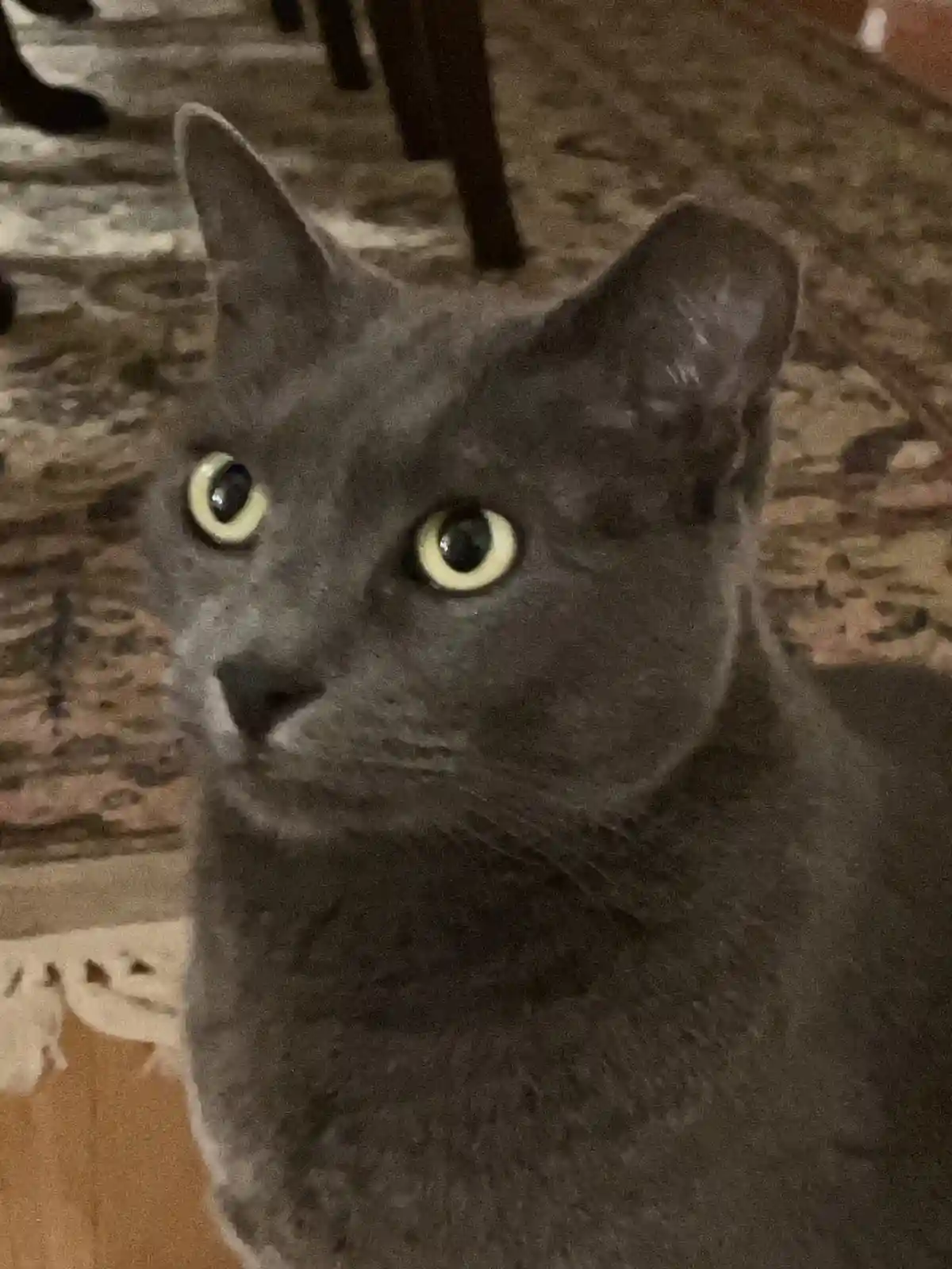 Daily Snick Pic #108 – A Must-See!