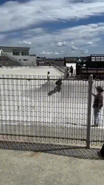 Kid pulls off an epic skateboard trick by jumping onto a fence and landing back on his board