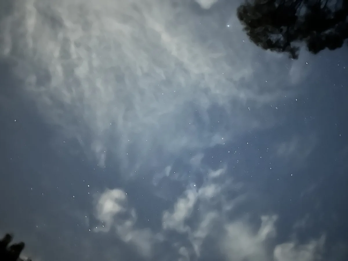 A dark, cloudy night sky with faint stars visible through the clouds, framed by the silhouettes of tree branches at the top…