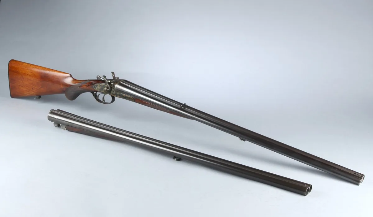 An antique double-barreled shotgun is shown with its two barrels detached and lying separately on a plain light-gray…